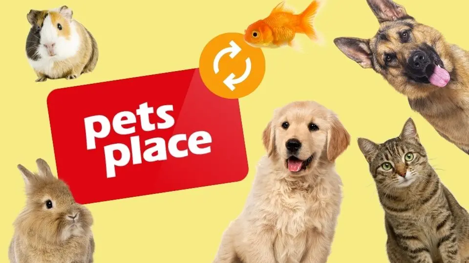 Nieuw bij Wissel.nl: ruil je cadeaubon in voor Pets Place tegoed